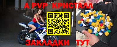 хмурый Кингисепп