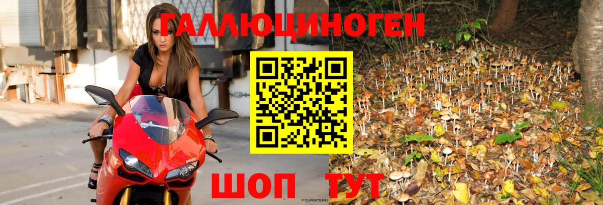 Псилоцибиновые грибы мухоморы  Вход с VPN  Гусь-Хрустальный 