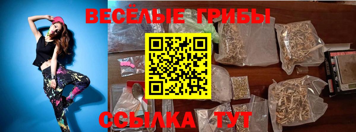 Галлюциногенные грибы ЛСД Гусь-Хрустальный